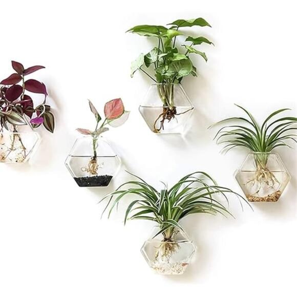 Kingbuy Glas-Terrarium Wandbehang – 4-teilig, Quadratische Röhren, 15,2 Cm Hoch, Für Hydrokultur & Luftpflanzen